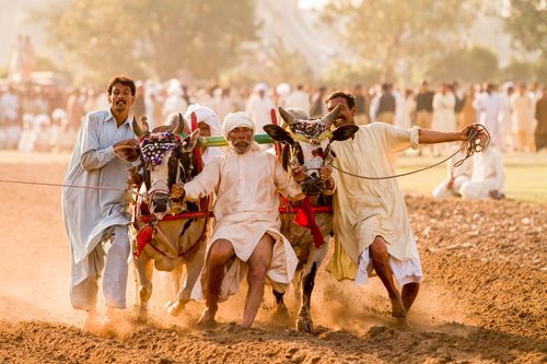 Inspiration24 Streikende Bilder von Pakistan