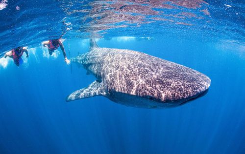 InspirationCancun im Februar: Wetter- und Klima 