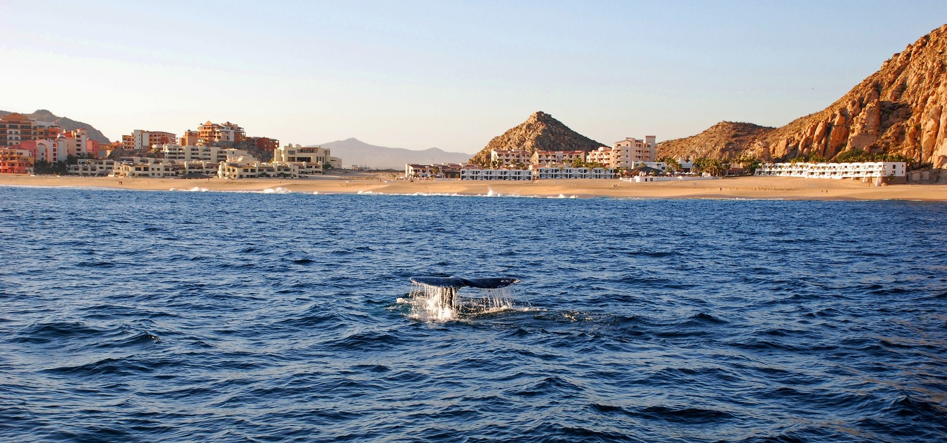 Wohin walwächern in Mexiko