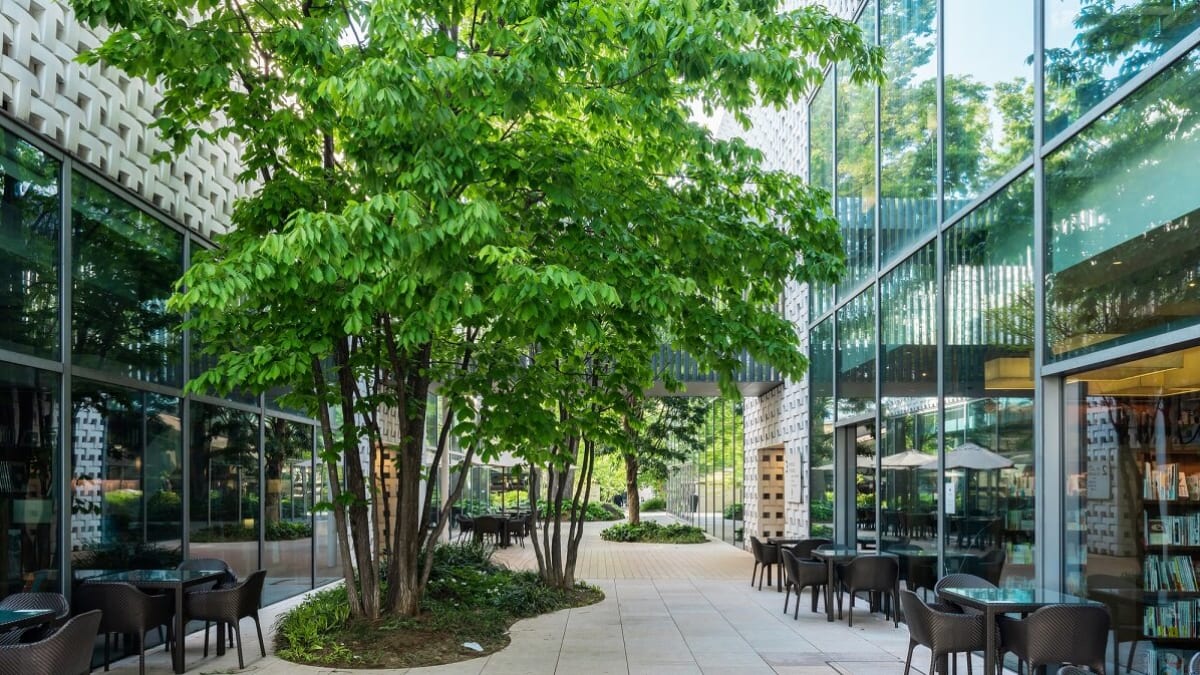 Wenn Sie in Daikanyama sind, beginnen Sie hier! 6 Empfohlene Einkäufe und Sehenswürdigkeiten