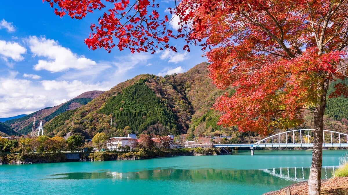 11 Touristenplätze in Yamakita, Kanagawa 