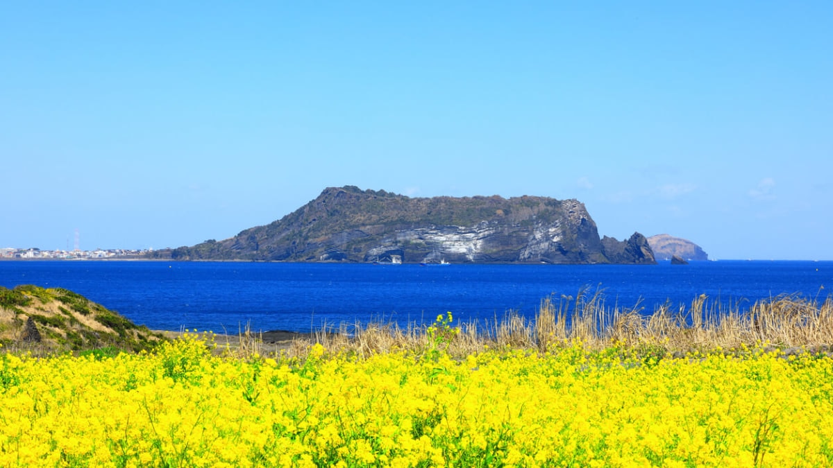 19 Empfohlene Touristenattraktionen in Jeju Island 