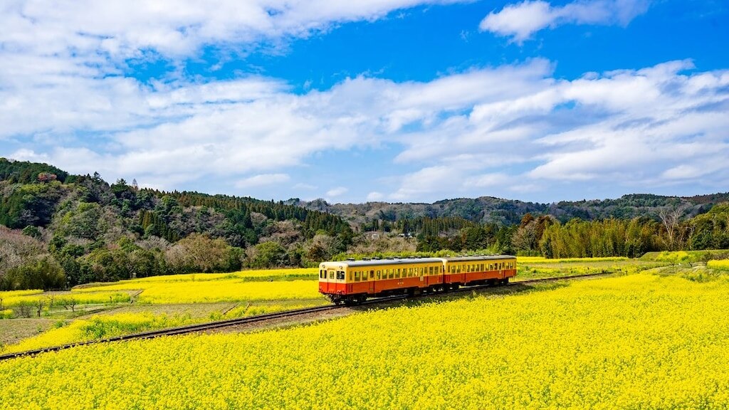 Empfohlene Touristenplätze entlang der Kamakura Königato Railway und Isumi Railway Line in der Präfektur Chiba
