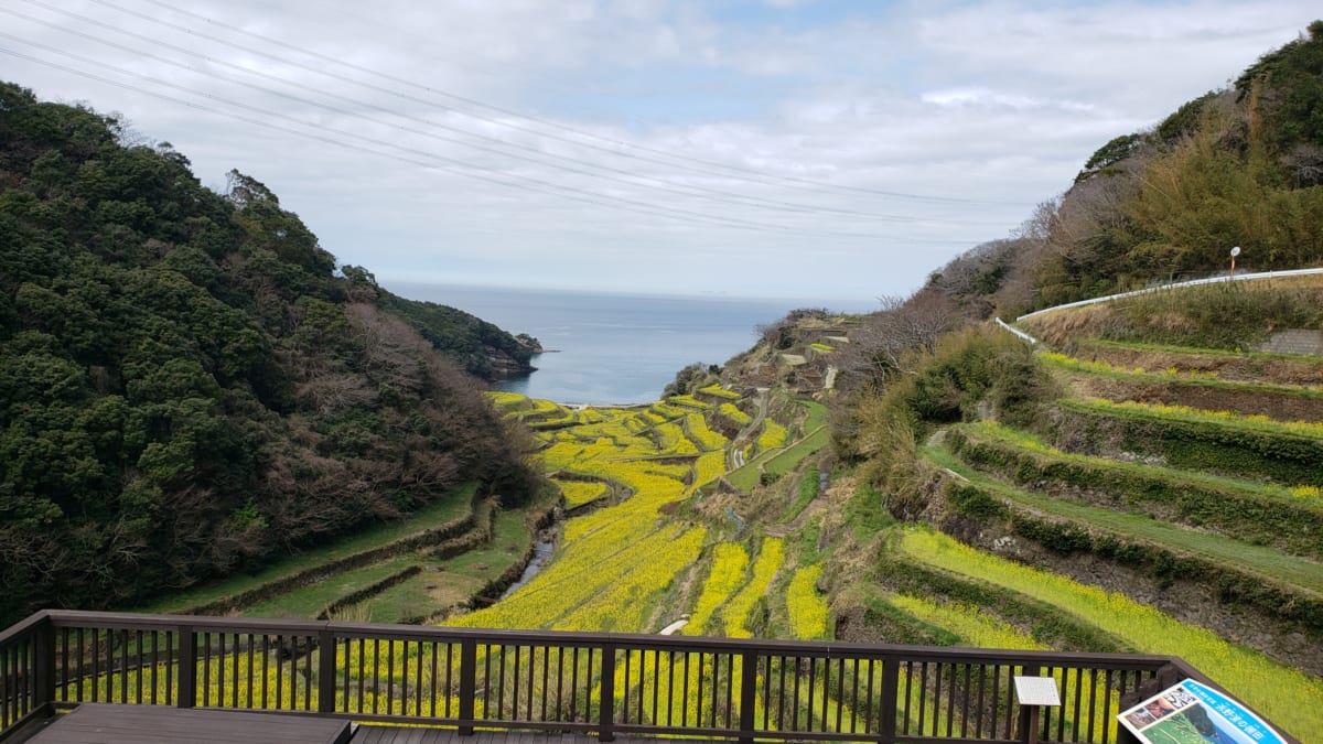 21 beliebte malerische Stellen in Saga mit reichlich vorhanden