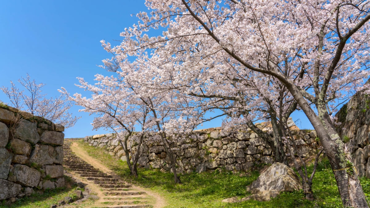 11 Touristenplätze in Yonago, Tottori-es gibt immer noch so viel zu entdecken!