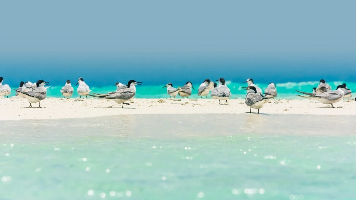 [Philippinen World Heritage Sites] Liste von 6 Plätzen!