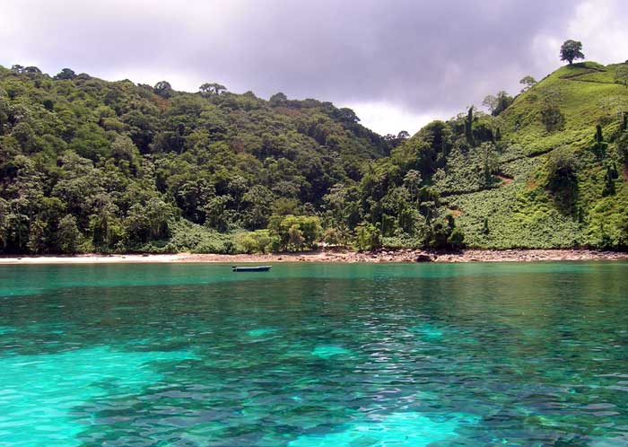 Einer der weltweit besten Tauchplätze! Cocos Island National Park