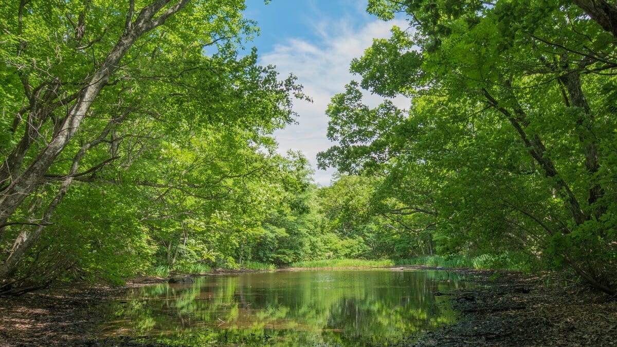 6 Touristenplätze im Dorf Kawauchi, Fukushima! Beliebte Attraktionen wie Ten Zan Bunko und Hot Springs