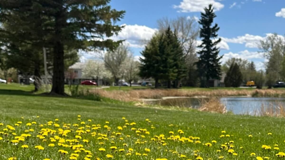 4 Touristenplätze in Laramie, USA 