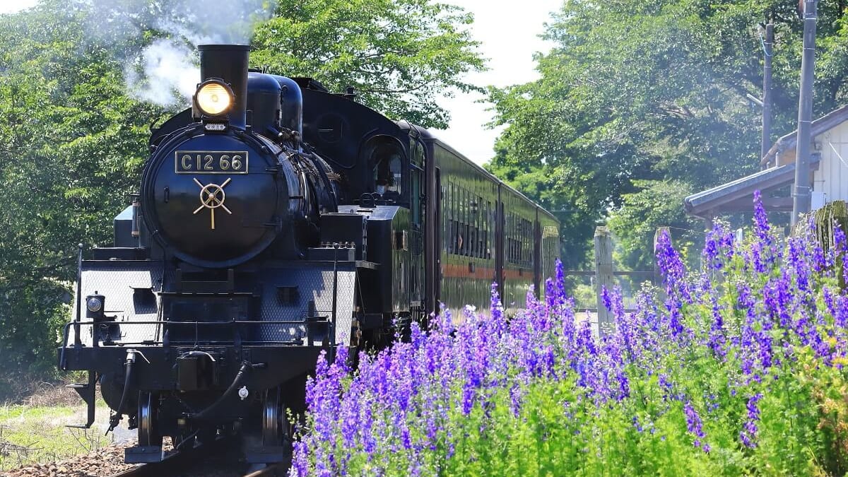 Hidden Tourist Juwelen in Tochigi: 9 Empfohlene Attraktionen in Mooka City, Präfektur Tochigi