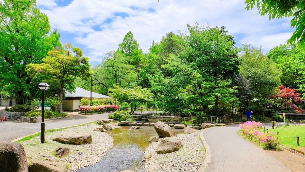Koenji ist eine einzigartige Stadt, in der sich junge Menschen versammeln! Hier sind einige beliebte Touristenplätze!
