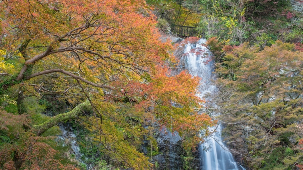 Jenseits von Minoh Wasserfall! 5 Touristenplätze in Minoh in Minoh City