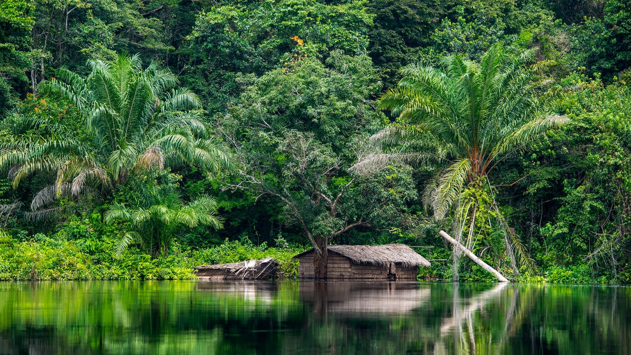Demokratische Republik des Kongo: Eine Nation, die von expansiven Regenwäldern bedeckt und durch schwärme Flüsse gesäumt ist