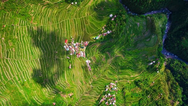 Treppe zum Himmel! Weltkulturerbe Site „Philippine Cordillera Rice Terrassen“