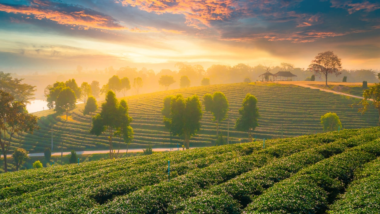 Chiang Rai: Besuchen Sie den kulturellen Zentrum Nordthailands