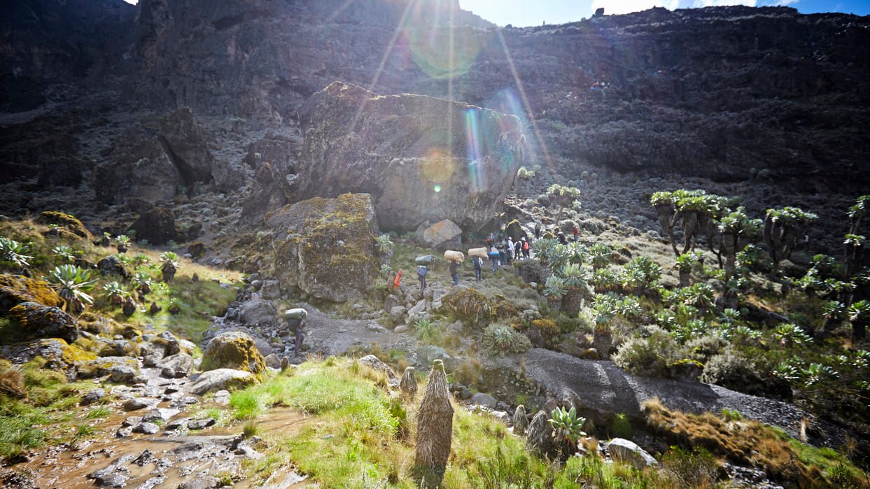 Kilimanjaro: Die einzigartige Schönheit von Tansania