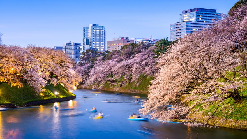 Besuchen wir Sein Majestät die Heimatstadt des Kaisers: 10 empfohlene Touristenplätze rund um den kaiserlichen Palast