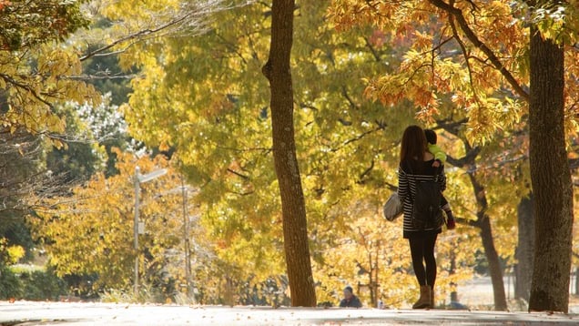 Ageo ist voller Einrichtungen, in denen Sie mit Ihren Kindern spielen können! 11 Touristenplätze in Ageo