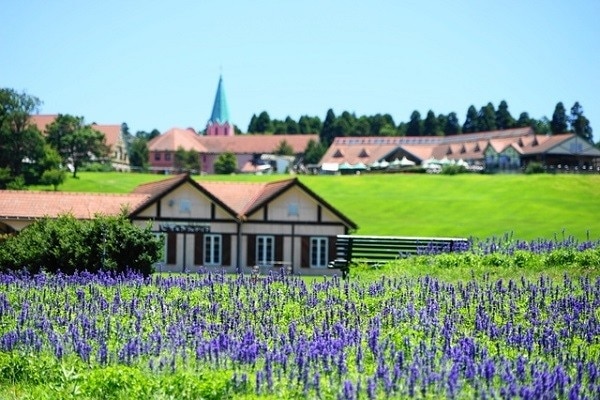 10 Touristenplätze in SodeGaura-das perfekte Urlaubsziel der Familie!