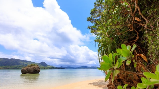 Von Geschichte und Kultur bis hin zu atemberaubenden Kulissen und großartigen Figuren! 13 versteckte Touristenplätze, um die Insel Ishigaki in vollem Umfang zu genießen