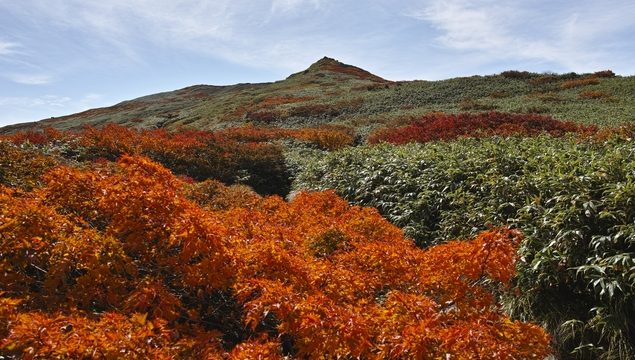 5 Stellen Sie in Yamagata und Mt. Gassan!