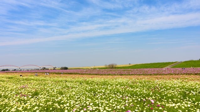 13 Touristenplätze in Kōnosu, Heimat der Legende des Storchs!