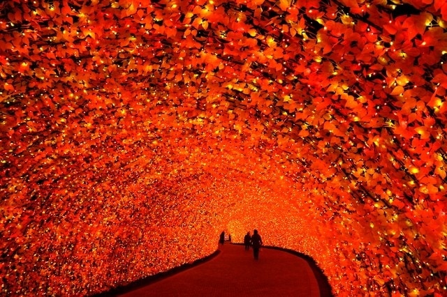 Kuwana City: Ein Touristenziel nur 30 Minuten von Nagoya entfernt! Top 10 Sehenswürdigkeiten