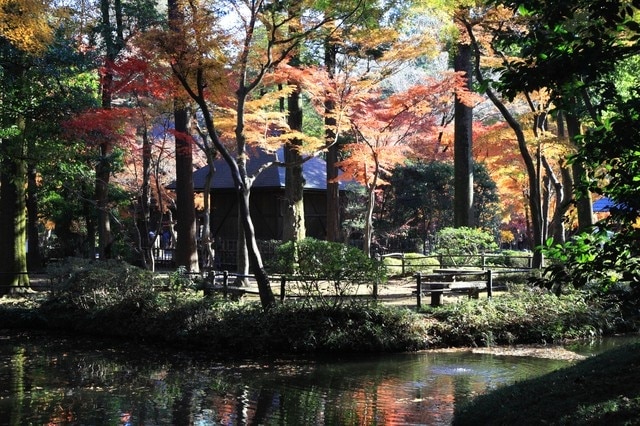Wenn Sie es leicht nehmen und Sightseeing genießen möchten, gehen Sie nach Niiza! 15 Empfohlene Sehenswürdigkeiten