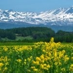 Entdecken Sie das Beste von Asahikawa, Hokkaido! Ein Leitfaden für 25 Touristenplätze für Muss