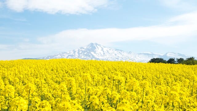 Erleben Sie die Schönheit aller vier Jahreszeiten! 6 Touristenplätze in Chōkai, Akita