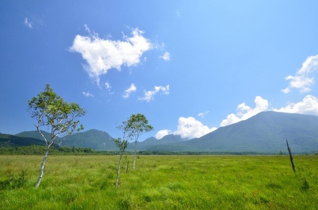 5 Berühmte Touristenplätze in Senjogahara, Tochigi