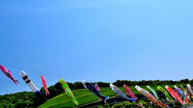 Voller mysteriöser Sehenswürdigkeiten! 10 Touristenplätze in den USA City, Präfektur Oita,