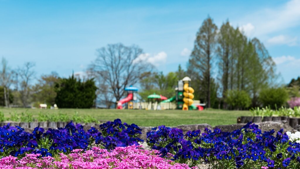 Acht empfohlene Touristenplätze in Kyotamba Town, ein üppiges grünes Ziel, nur eine Stunde von Kyoto City entfernt