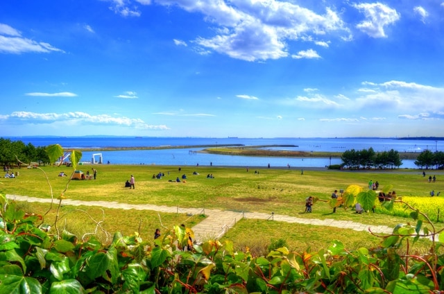 Entscheiden Sie sich für Kasai Sightseeing für Ihren nächsten Urlaub! Top 10 beliebte Spots