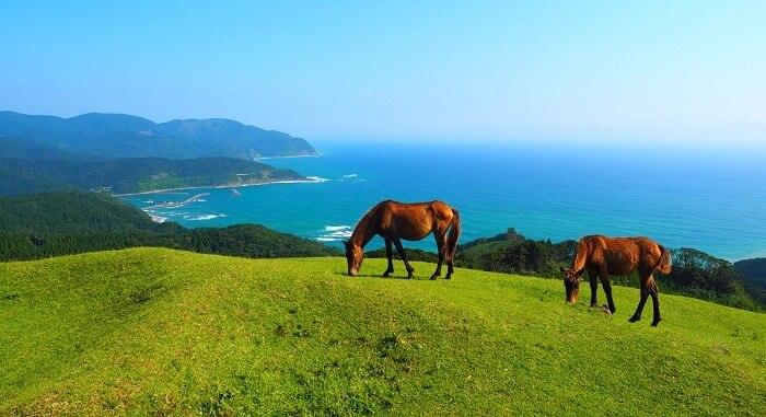 Landschaftliche Wunder an der südlichsten Spitze von Miyazaki! 11 Empfohlene Touristenplätze in Kushima City