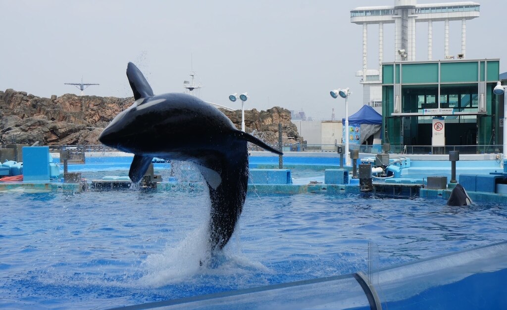 Die Reize von Nagoya Port Aquarium!