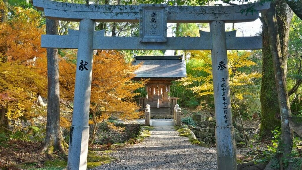 Sorgfältig ausgewählt! Wenn Sie nach einem Power 