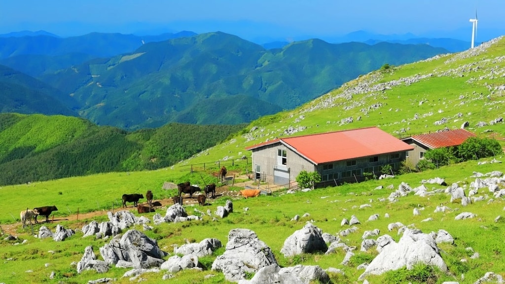 30 empfohlene Touristenplätze in Ehime