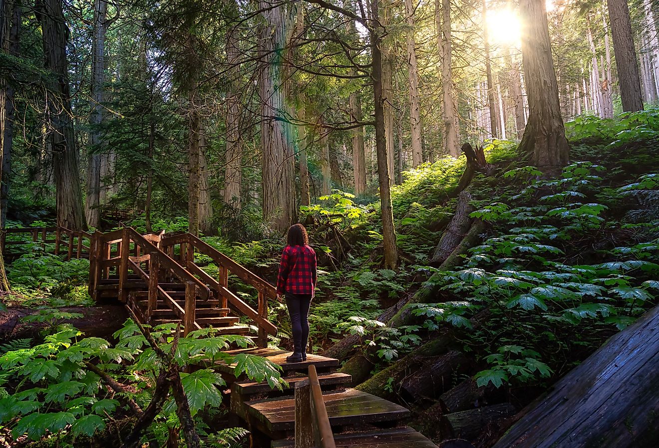 8 süßeste kleine Städte in British Columbia für 2025