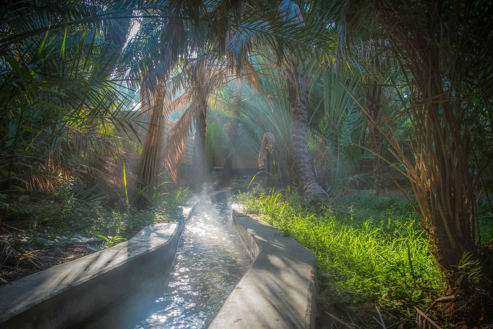 5 unglaubliche Tagesausflüge aus Dubai, um zu unternehmen