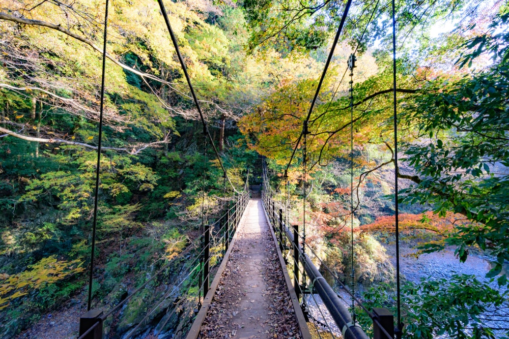 7 schöne malerische Stellen und Natur entkommen in Tokio