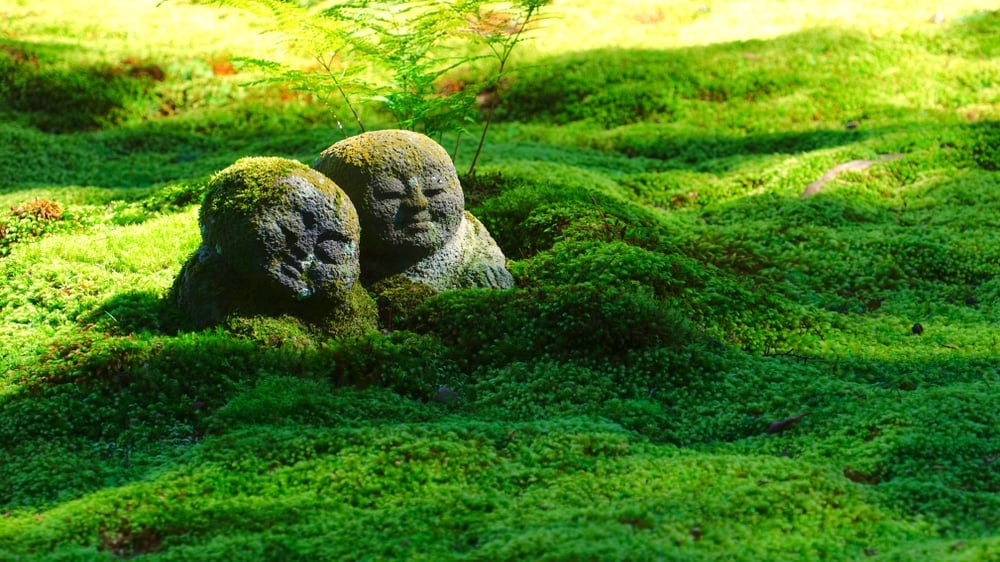 Bleib in Ohara, einem der mächtigsten spirituellen Orte von Kyoto! 5 Empfohlene Hotels