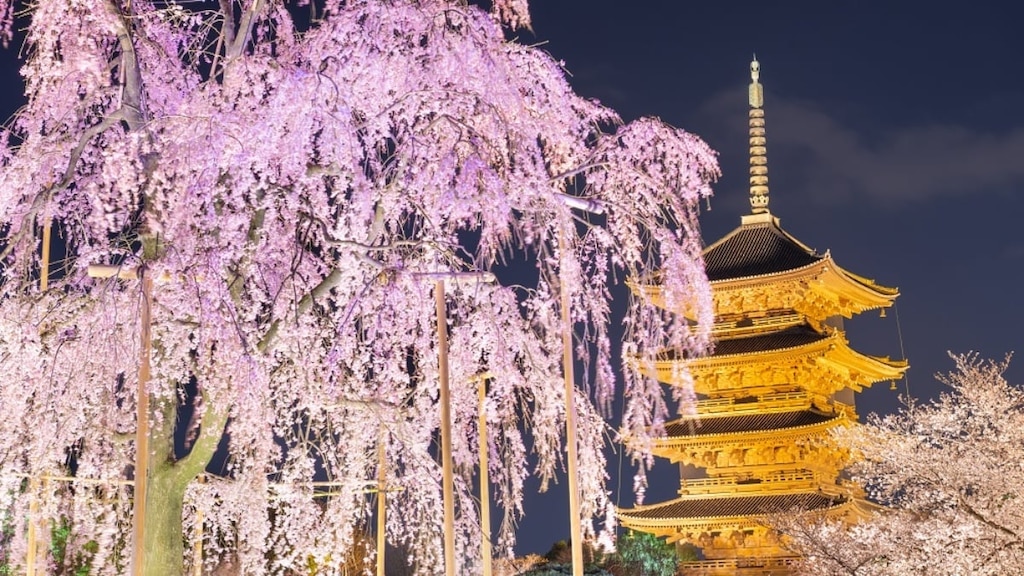Sorgfältig ausgewählte empfohlene Sehenswürdigkeiten in Kyoto! Einführung beliebter Attraktionen nach Gebiet