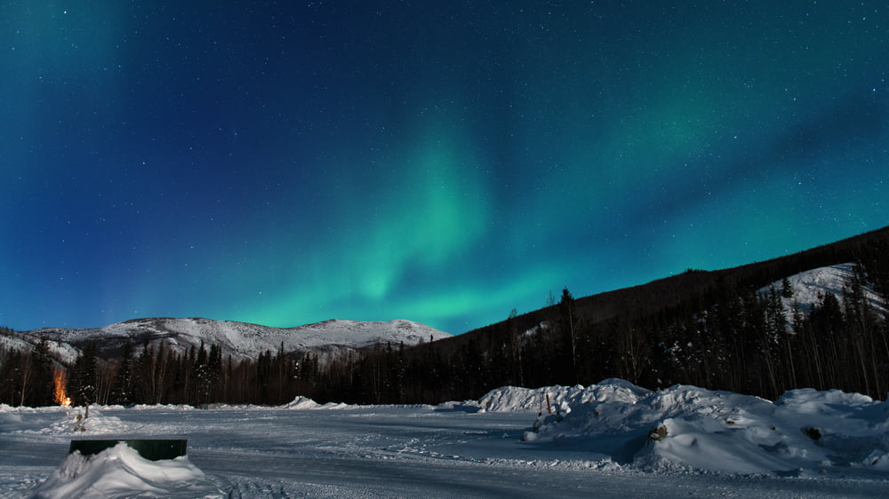 Fairbanks: Zeuge der Nordlichter, berühre die Arktische Pole und tanze mit Rentieren