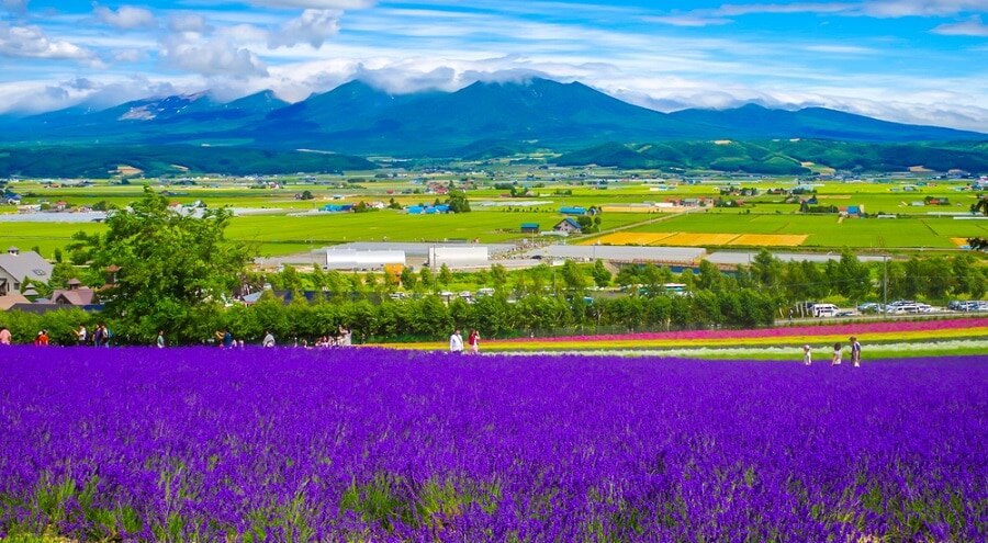 27 Touristenplätze in Furano: Beginnen Sie eine Reise, um die Natur in der Natur zu genießen