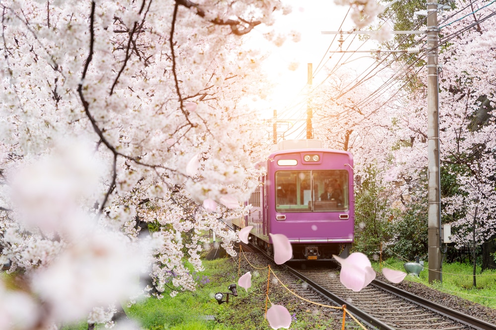 Die besten Dinge in Kyoto, die keine Tempel oder Schreine umfassen