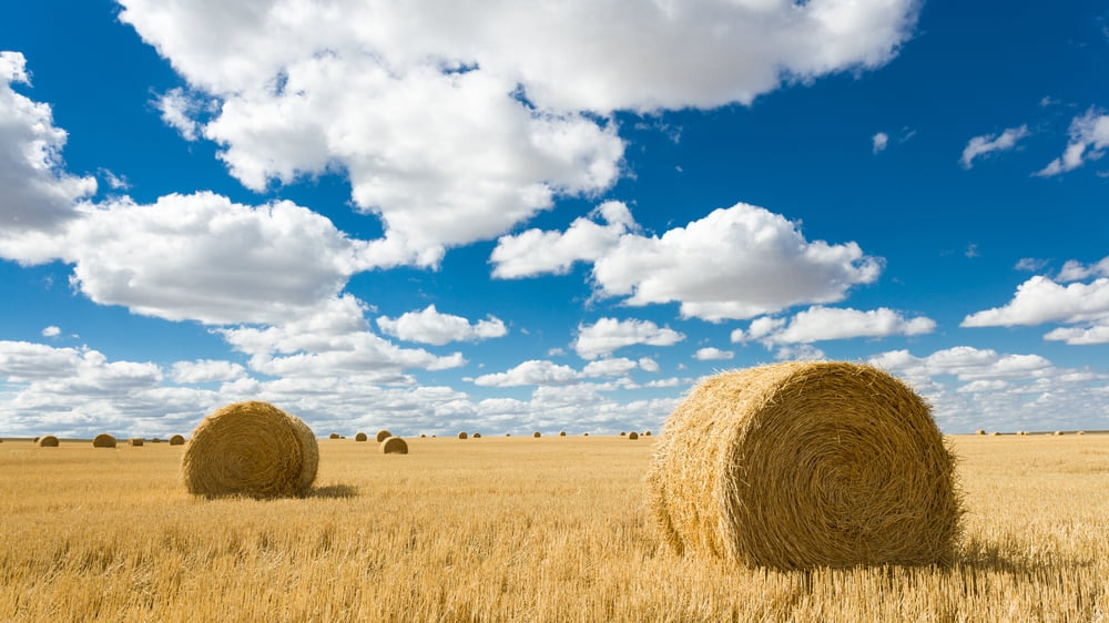 Glasgow (Montana): Der kleine Himmel in Montana versteckt
