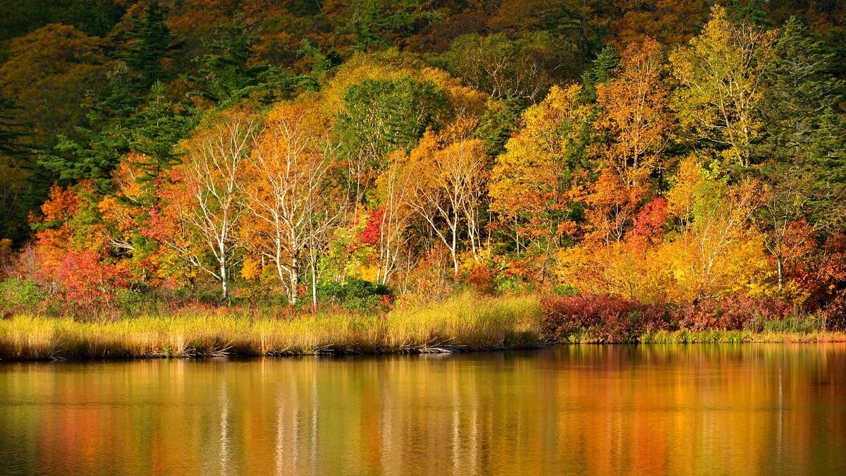 13 Touristenattraktionen in Kazuno City, Akita-Erleben Sie Geschichte und Macht erleben