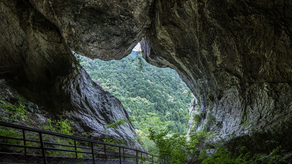 [Verstecktes Juwel von Aichi] Ein vollständiger Leitfaden zur Chiiwa 