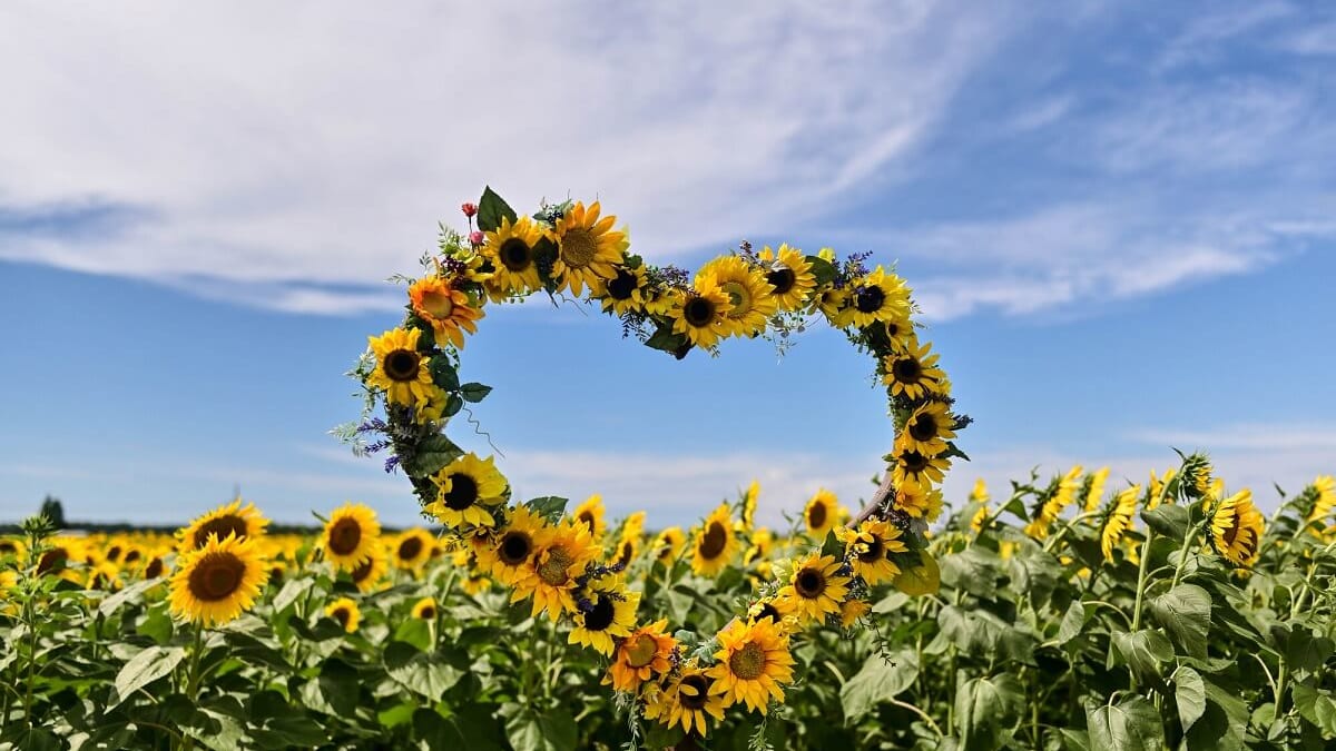 Wenn Sie Grün und Geschichte erleben möchten, besuchen Sie die Stadt Tsubata in der Präfektur Ishikawa! Hier sind 6 empfohlene Touristenplätze